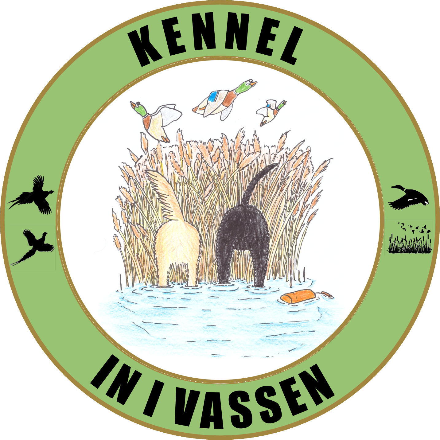 Kennel In I Vassen